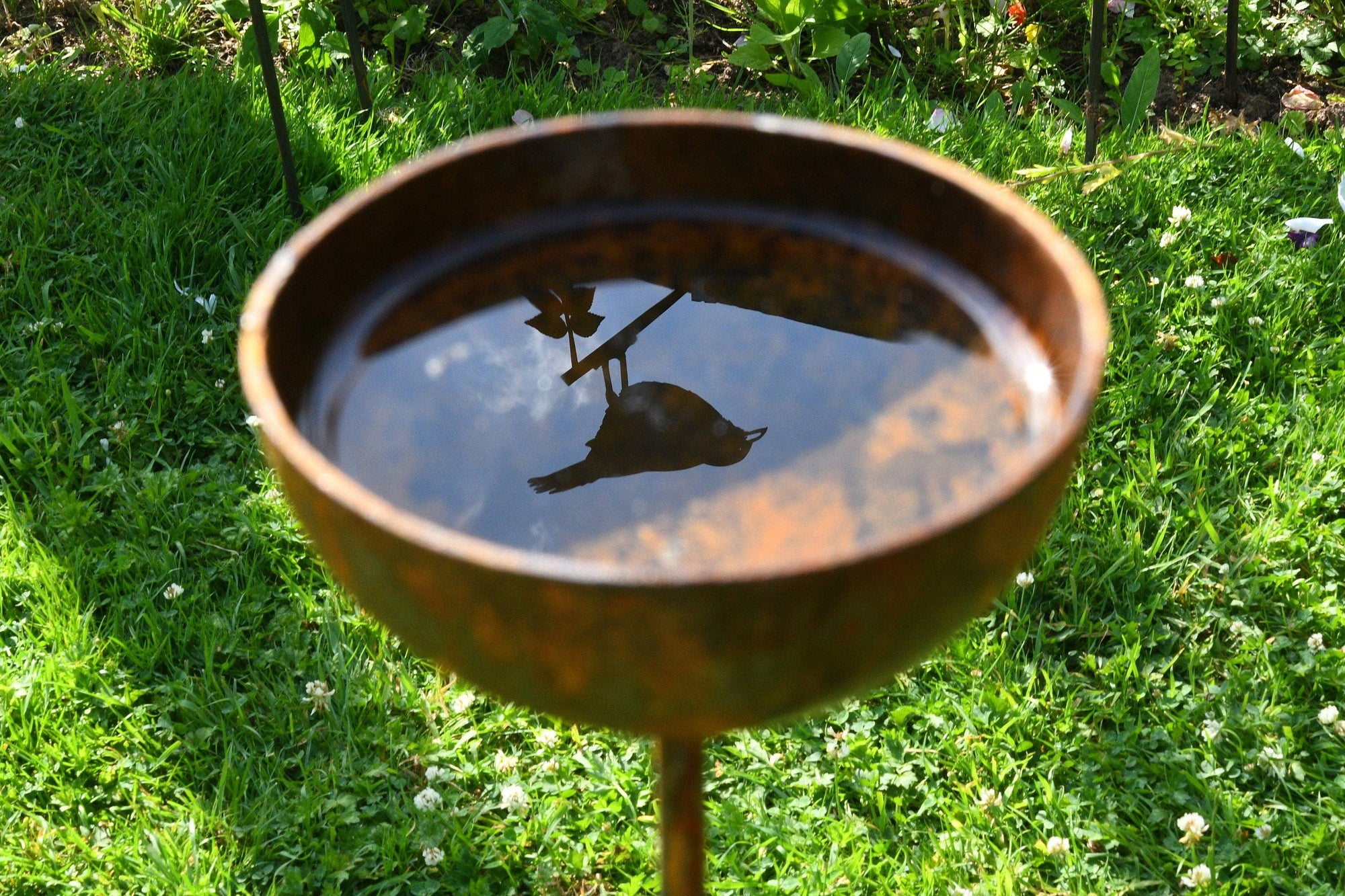Rain Catcher bowl filled with still water, reflected in the water is a small garden bird. The background is sunlit grass.