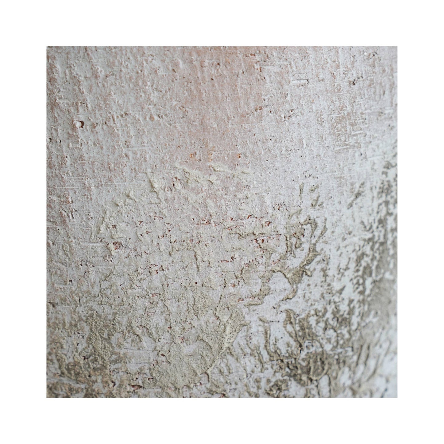 Detail of texture