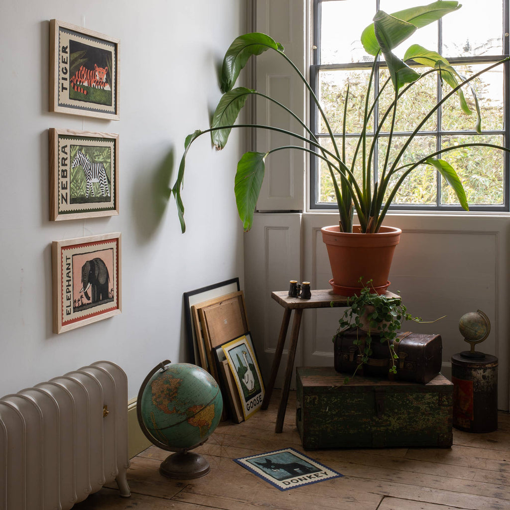 Interior shot of room with several framed pictures in similar vintage style. Showing more of the range - Tiger, Zebra and Elephant and Donkey. A large globe and plant are in the room which has a vintage feel.