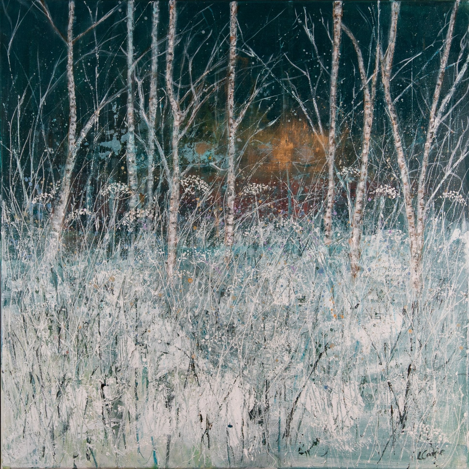 Snow Painting by scottish artist. Silver birch trees in snow as morning sun rises behind. Impressionist artwork of scottish forest
