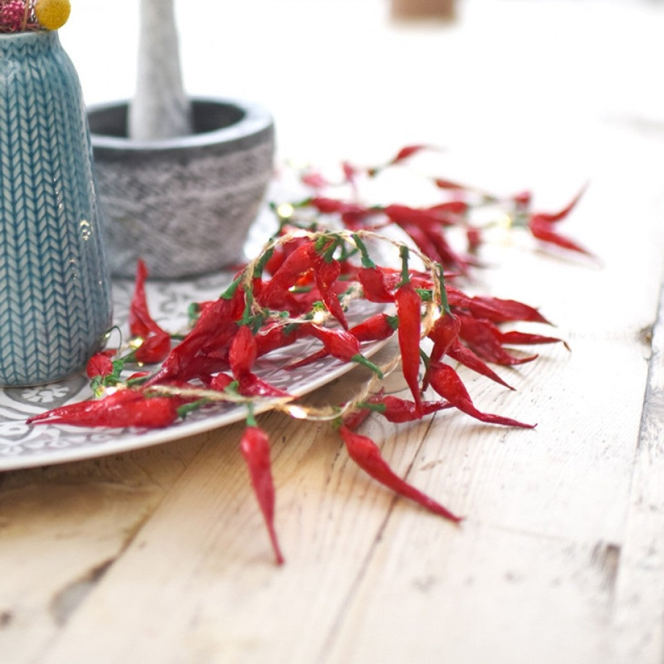 Outdoors, Chilli lights on side of plate on table.
Battery operated chilli lights gift.
