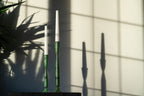 Pair of verdigris candlesticks med and large. Shot in sunlight with silhouette of  plant and shadows on background wall. Hand made Shelley tall verdigris iron candlesticks.