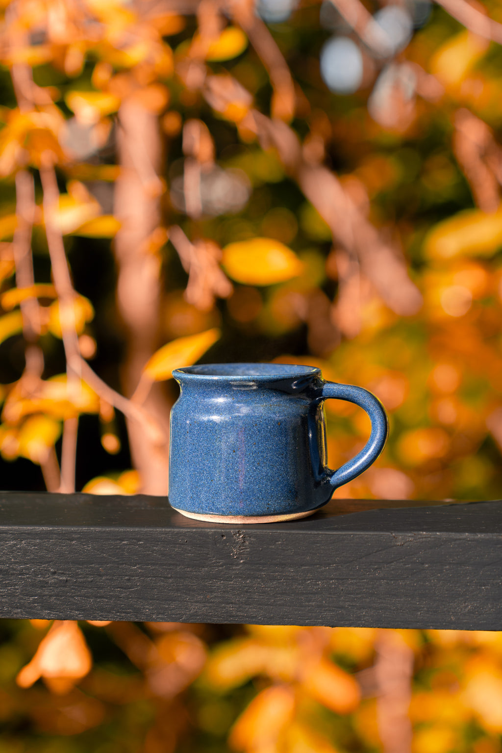 Outdoor shot, of navy blue  mug autumn leaves in background.
Fairtrade mugs from India make a great gift.
