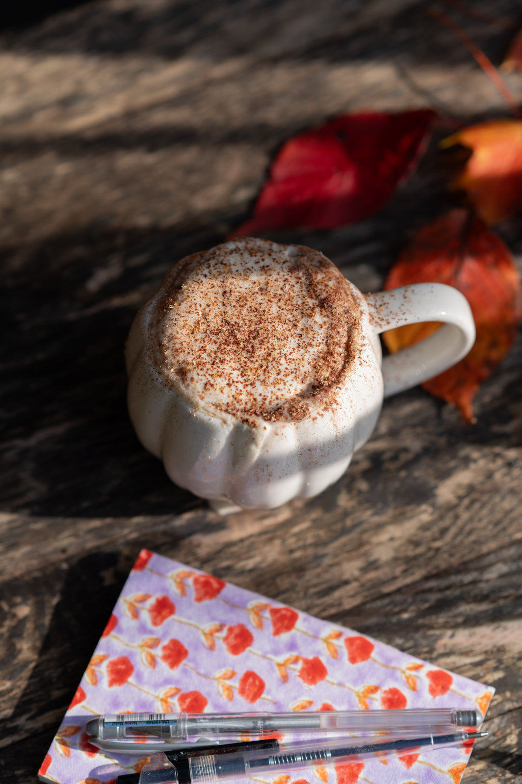 Overhead outdoor shot of mug beside notebook and pen. Mug is filled with cappuccino.