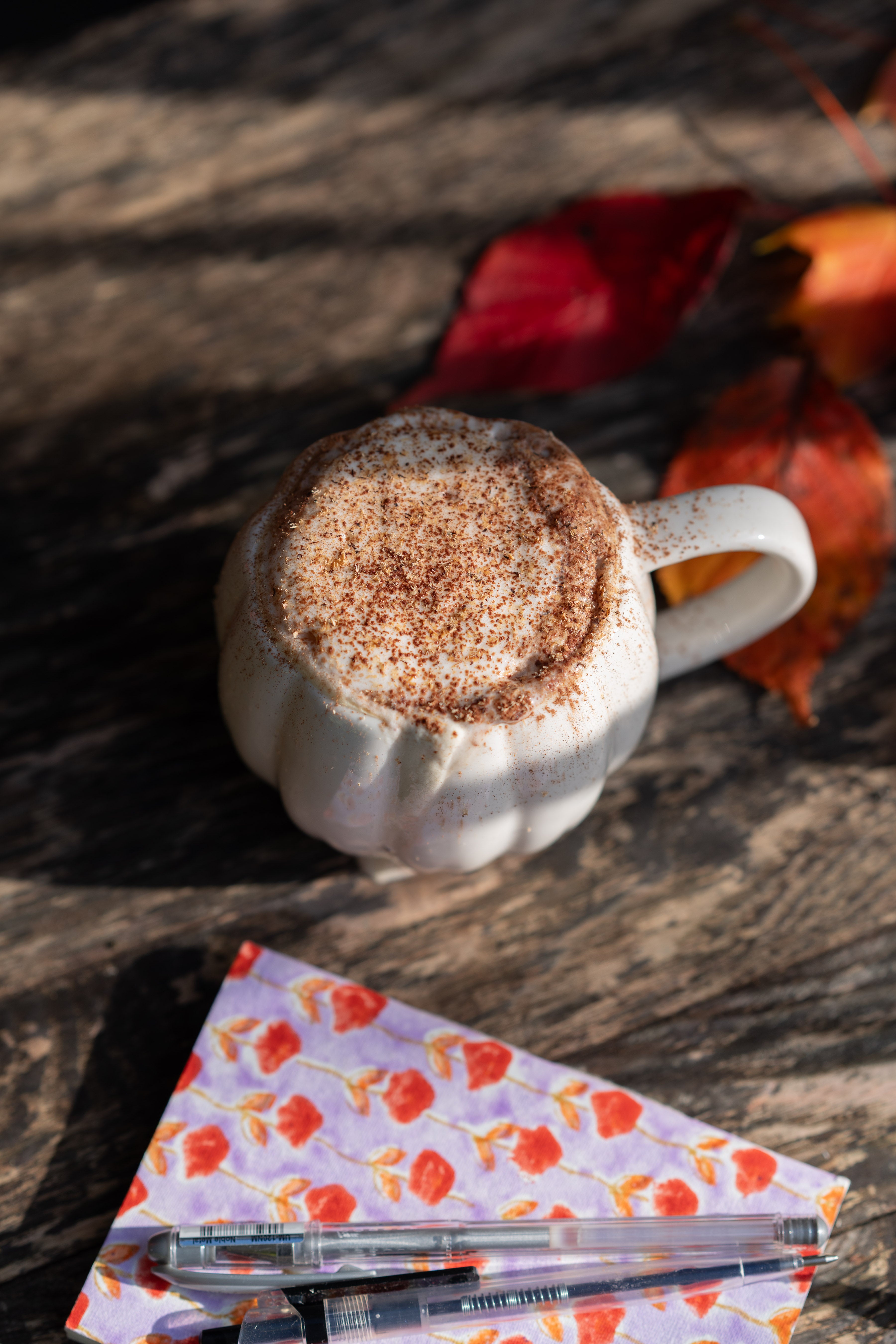Overhead outdoor shot of mug beside notebook and pen. Mug is filled with cappuccino.