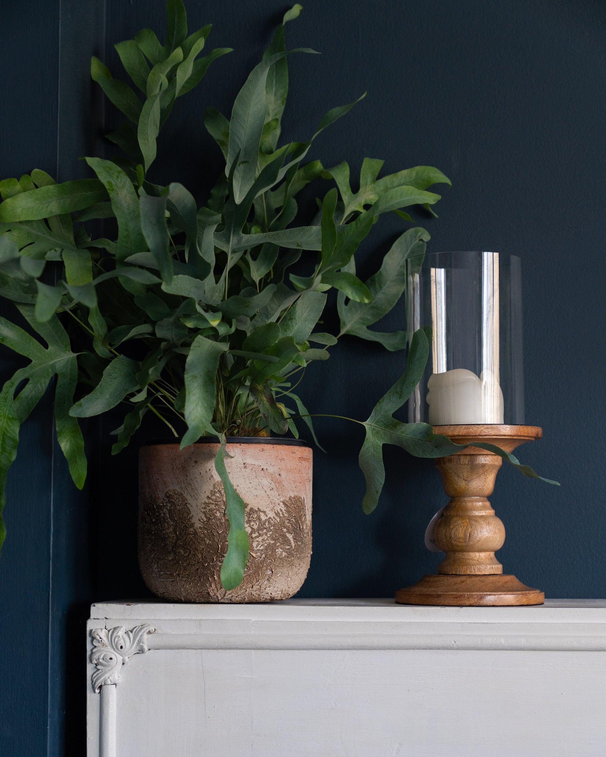 Albero pot on white mantlepiece with foliage plant against navy wall. Stylish textured unique planter. Wooden and glass piller candle holder is also on the mantlepiece.