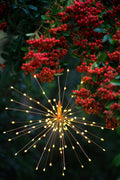 Dark green foliage with red berries, close up of the Hanging Starburst Light switched on and covered in golden LED lights. Hanging Starburst Light - great for indoors and outdoors.