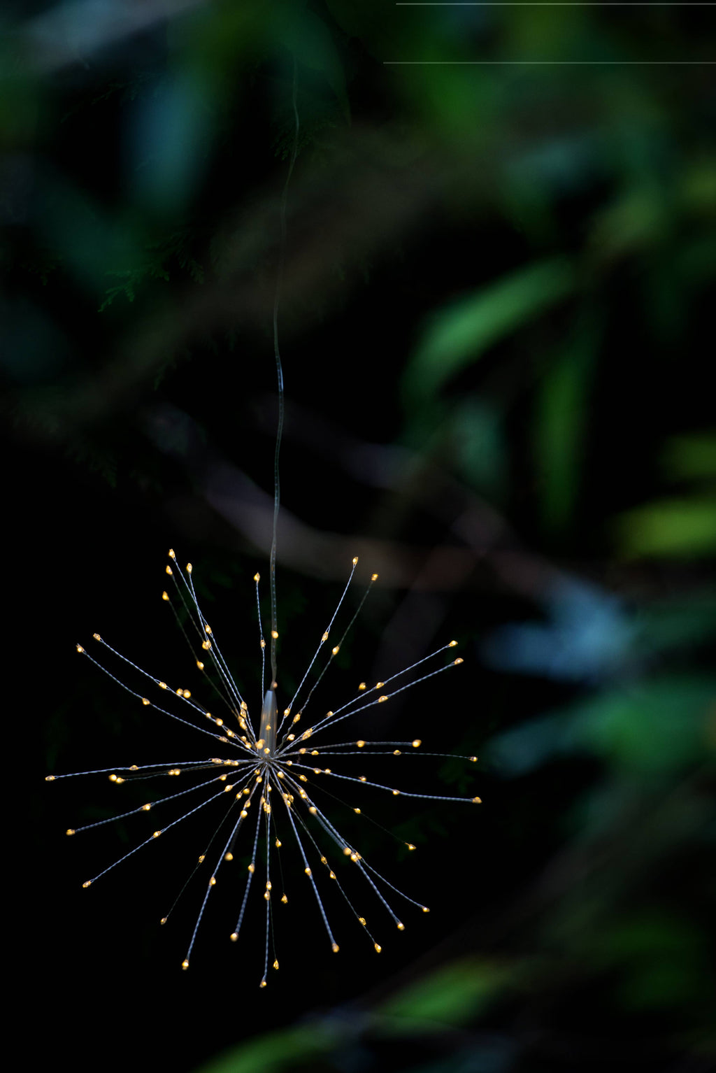 Dusky garden shot with close up of lit hanging starburst with golden LED lights. Battery operated indoor and outdoor golden LED.