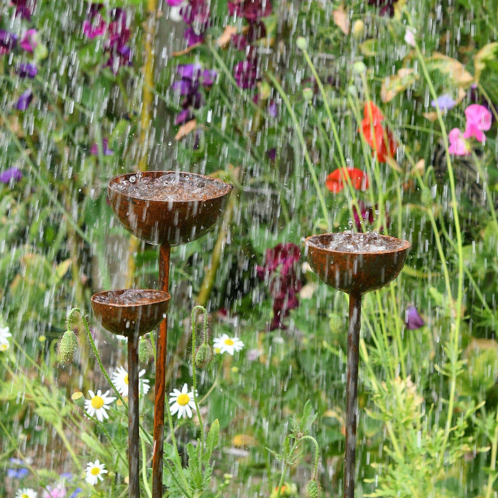 Garden greenery and flowers in the rain. Three metal Rain Catchers with bowls of varying sizes in foreground, rain splashes into and fills the bowls looking refreshing!
