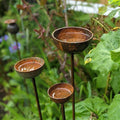 Garden greenery with three metal sculptures Rain Catchers.Staked at varying heights with different sized bowls filled with rain water which is reflective and tranquil. The metal is deliberately rusted and contrasts with the green foliage. Rain catchers are a great sculptural garden gift.