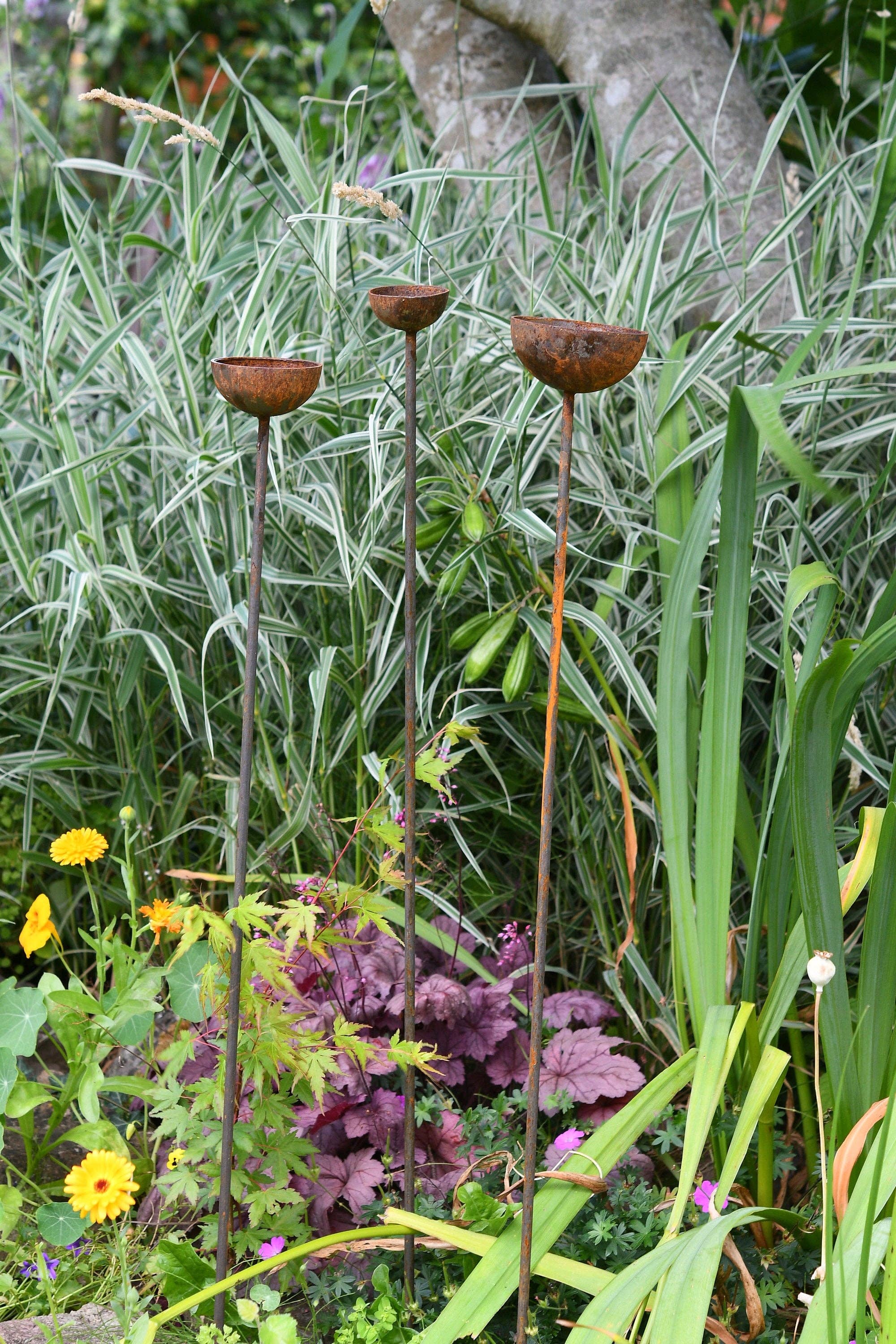 Garden greenery with three metal Rain Catchers.Staked at different heights with different sized bowls the warm rust coloured metal contrast with the foliage.