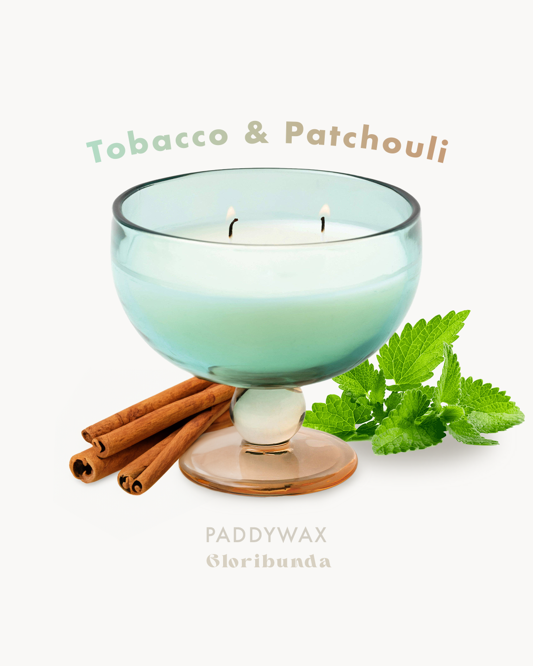 Candle with cinnamon sticks and patchouli  leaves on a white background, labeled 'Tobacco & Patchouli' by Paddywax. Great gift at £10