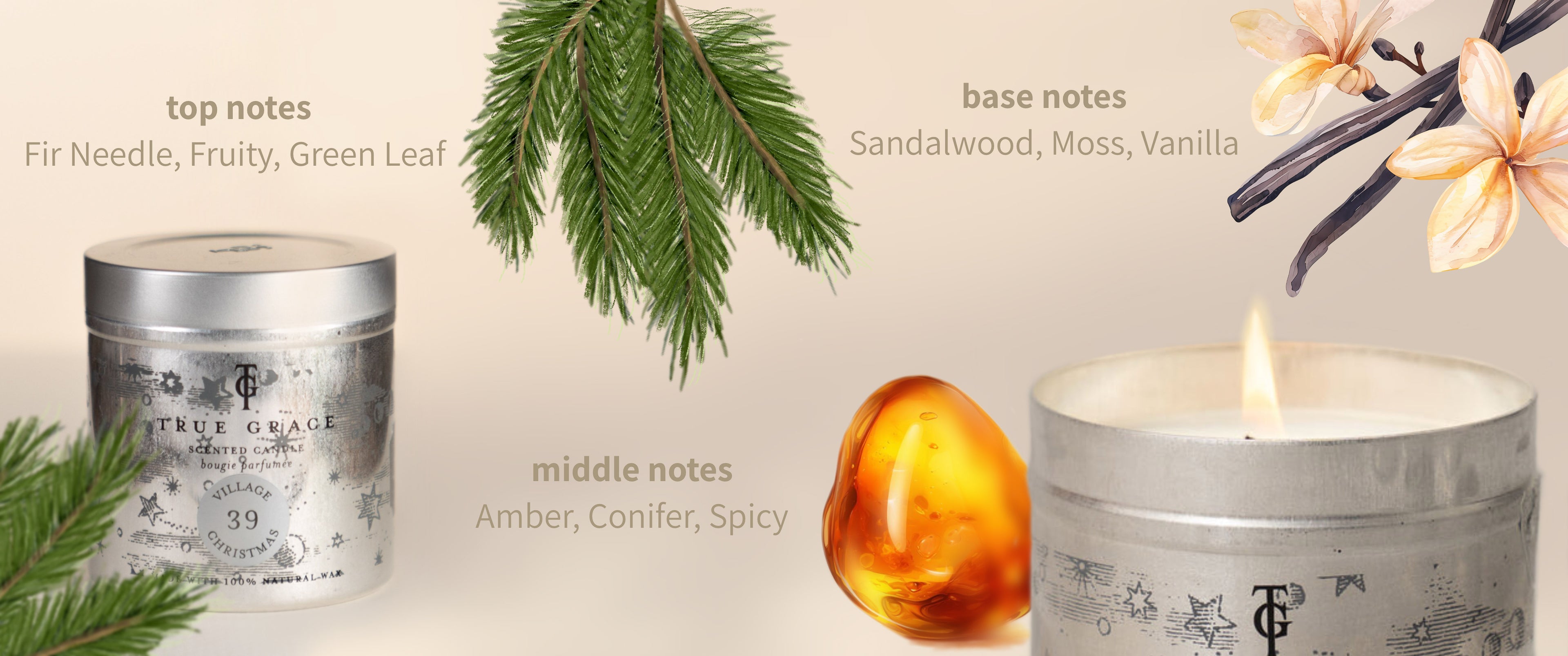 Fragrance notes - Top notes Fir needle, Fruity, Green Leaf.Middle notes - Amber, Conifer, Spicy. Base notes - Sandalwood, Moss Vanilla. Illustrations of Fir, Amber and Vanilla with photograph of candle.