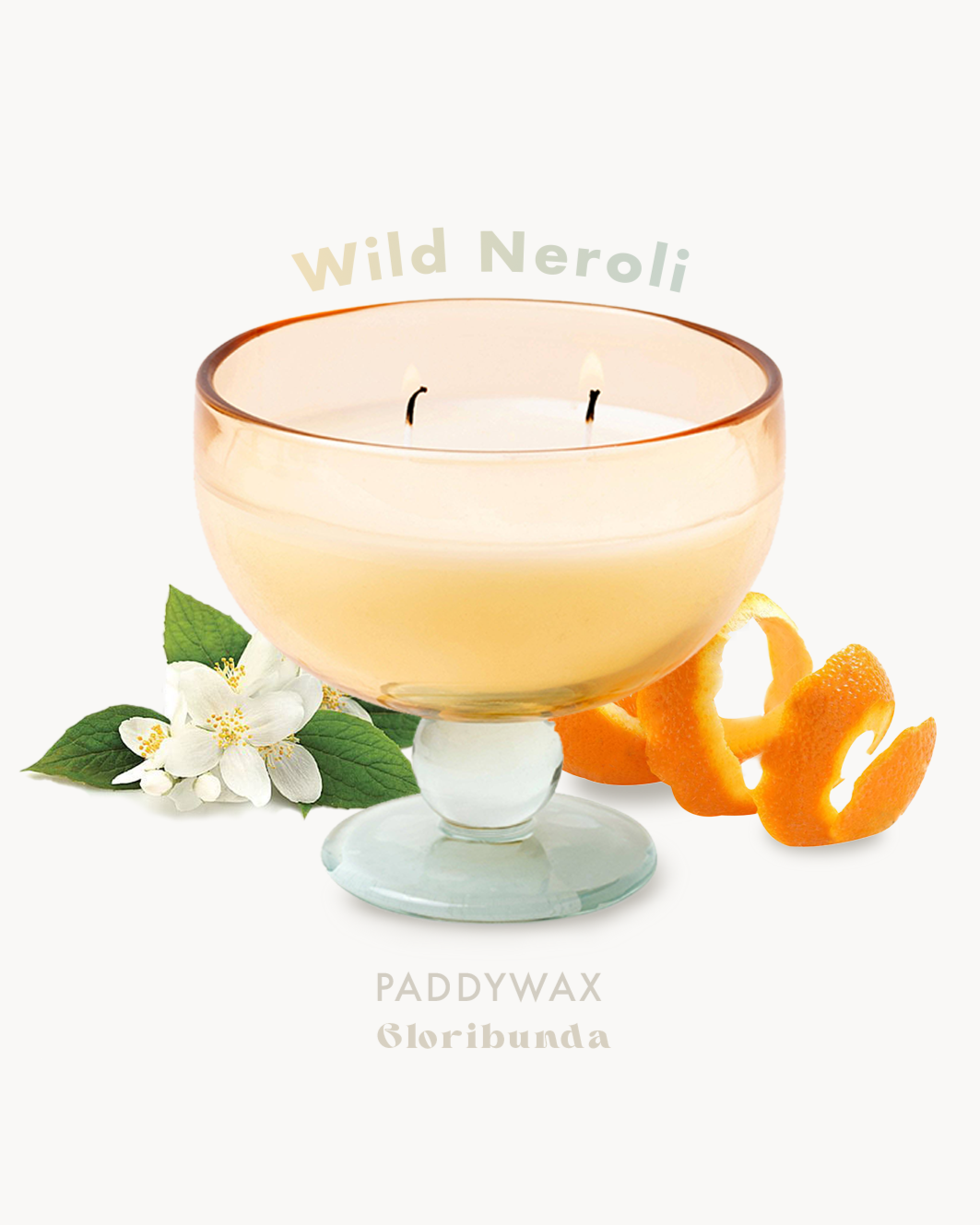 Paddywax candle with 'Wild Neroli' branding, featuring floral and orange elements on a white background.