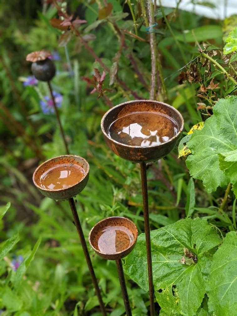 Rain Catcher Individual